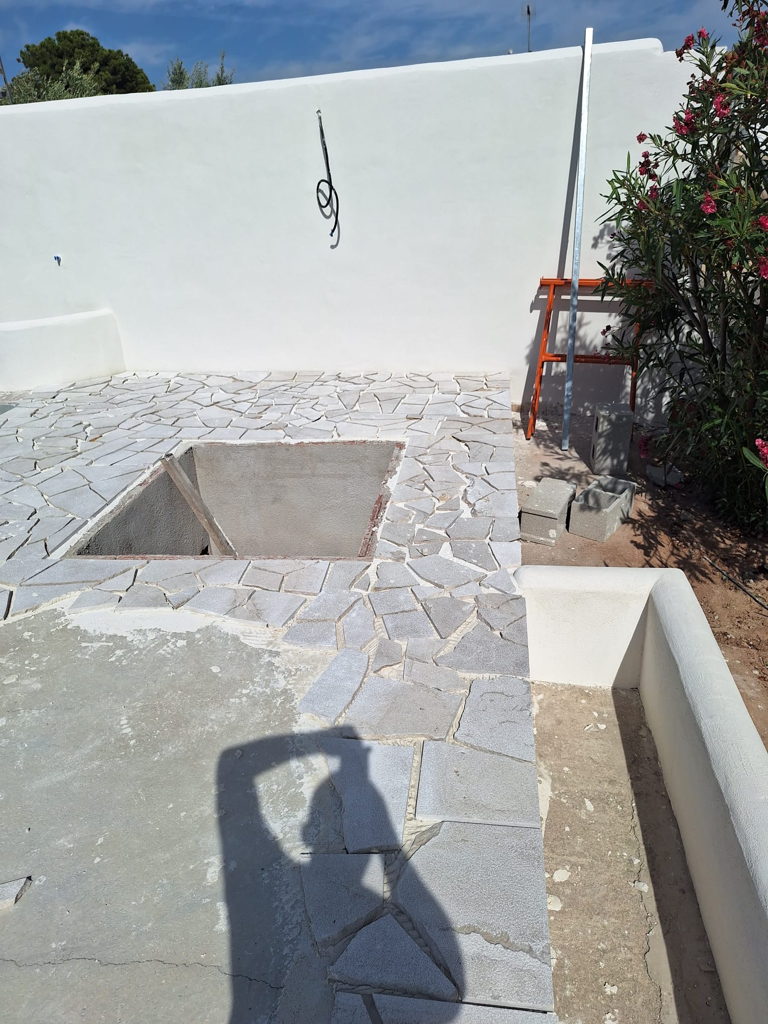 Antes: Zona de jardín antes de la excavación para la sala técnica de la piscina